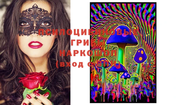 соль ск Лагань