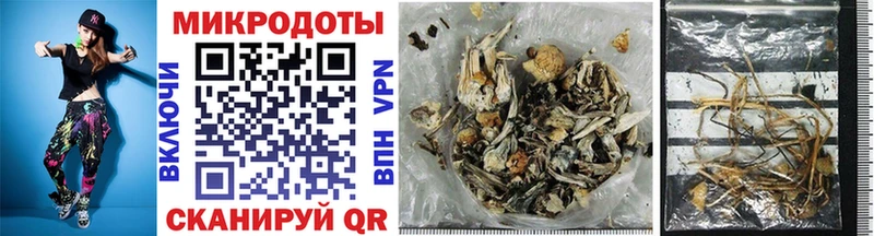 Купить закладки  Энем  Псилоцибиновые грибы мухоморы 